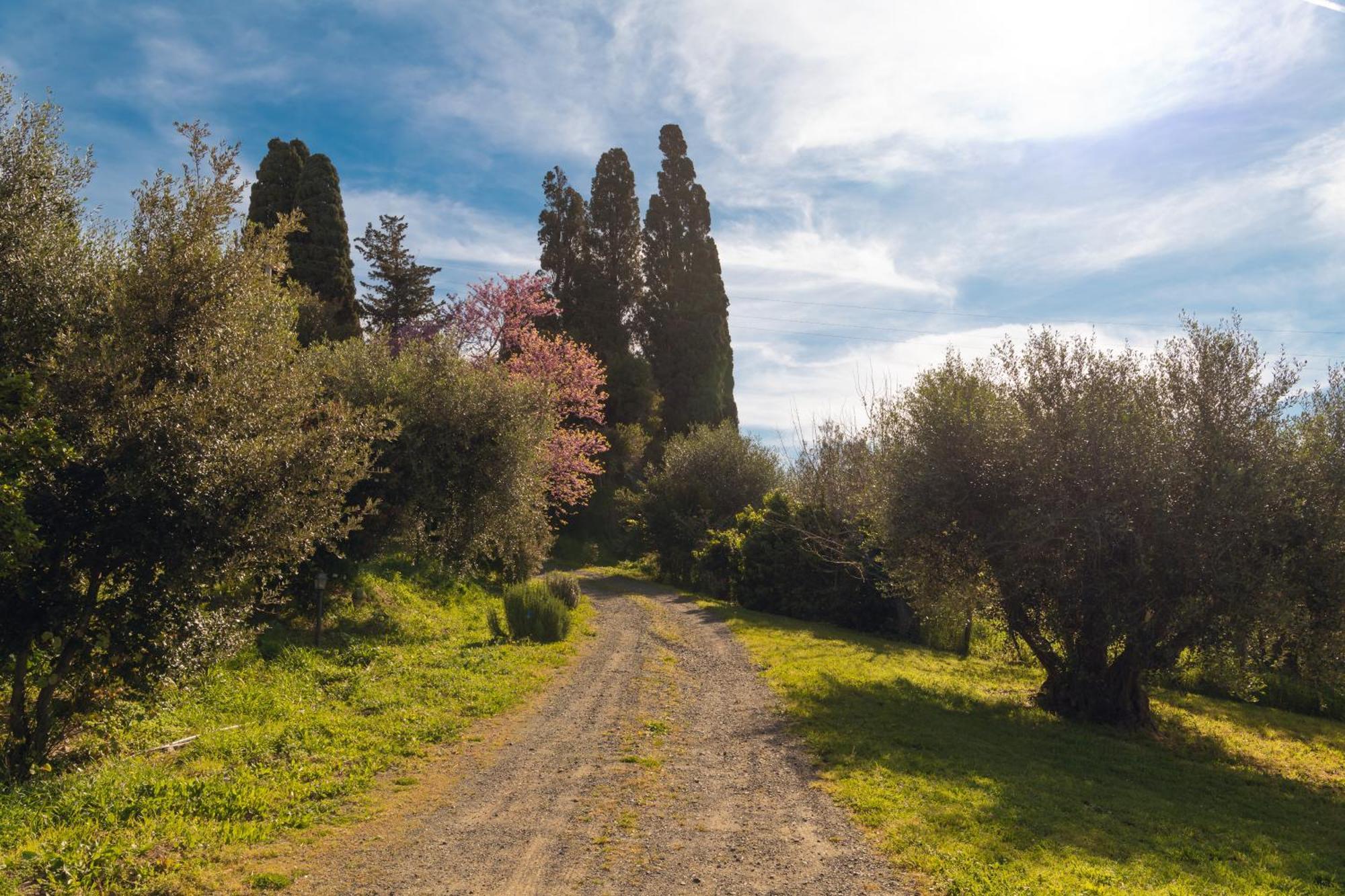 Bolgheri Countryhouse Villa *