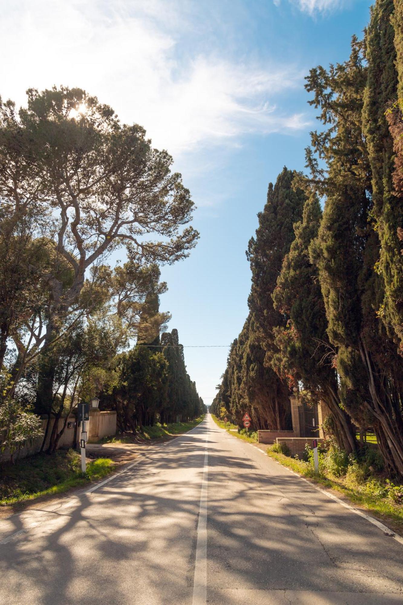 Bolgheri Countryhouse * Bolgheri