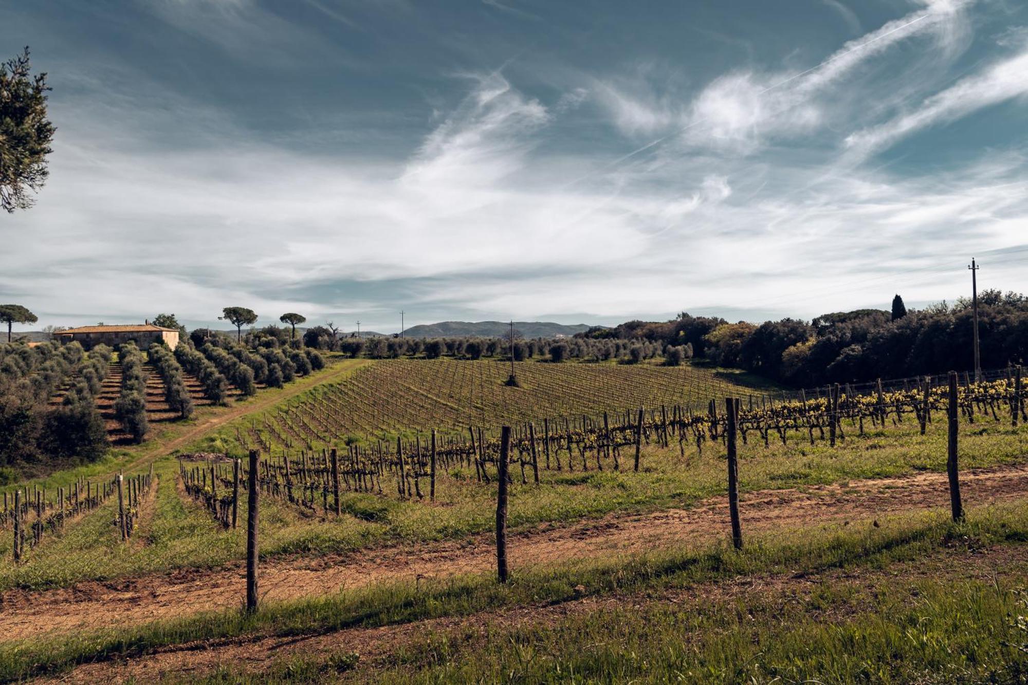 Bolgheri Countryhouse Villa *