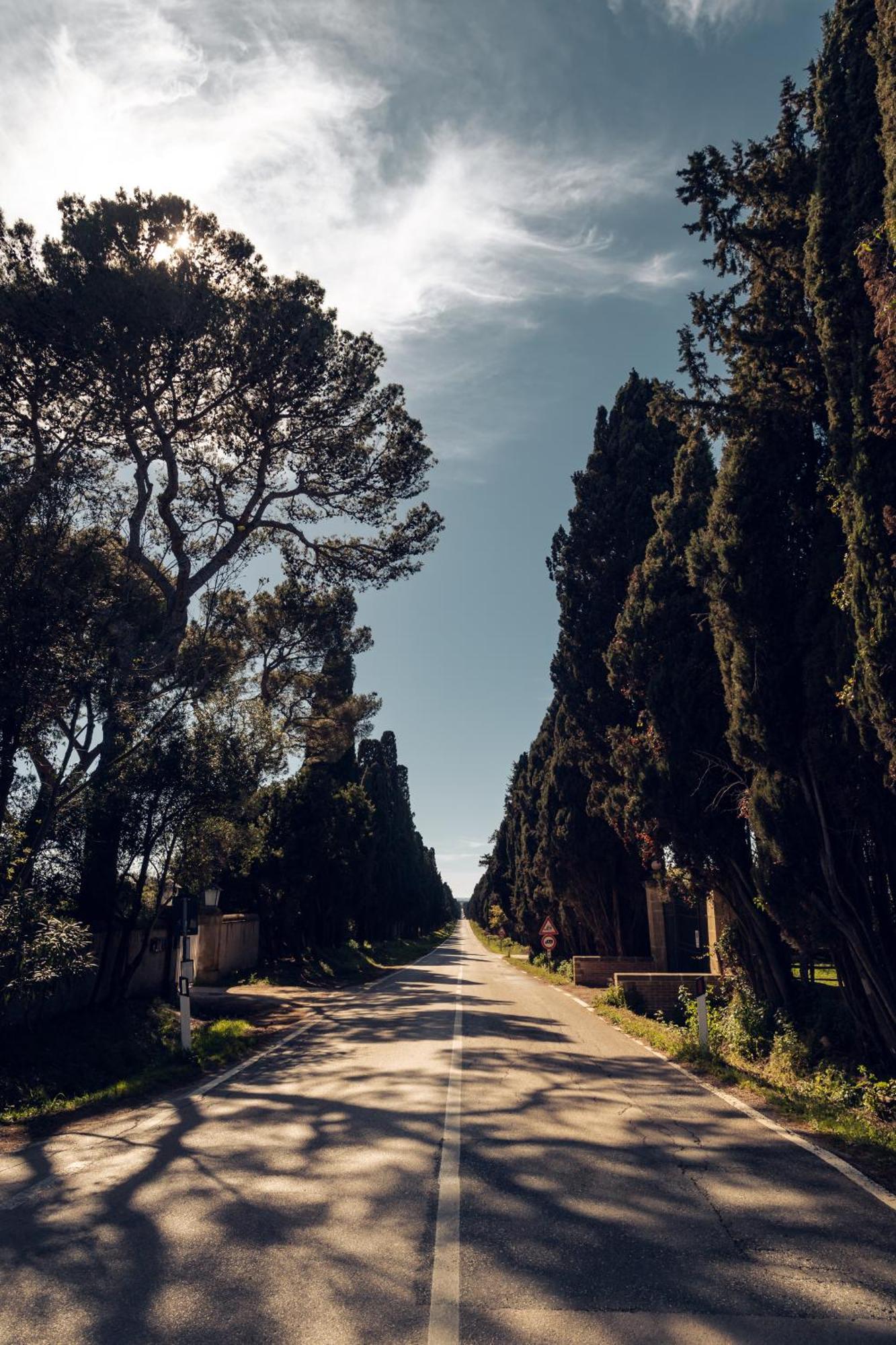 Bolgheri Countryhouse Villa *
